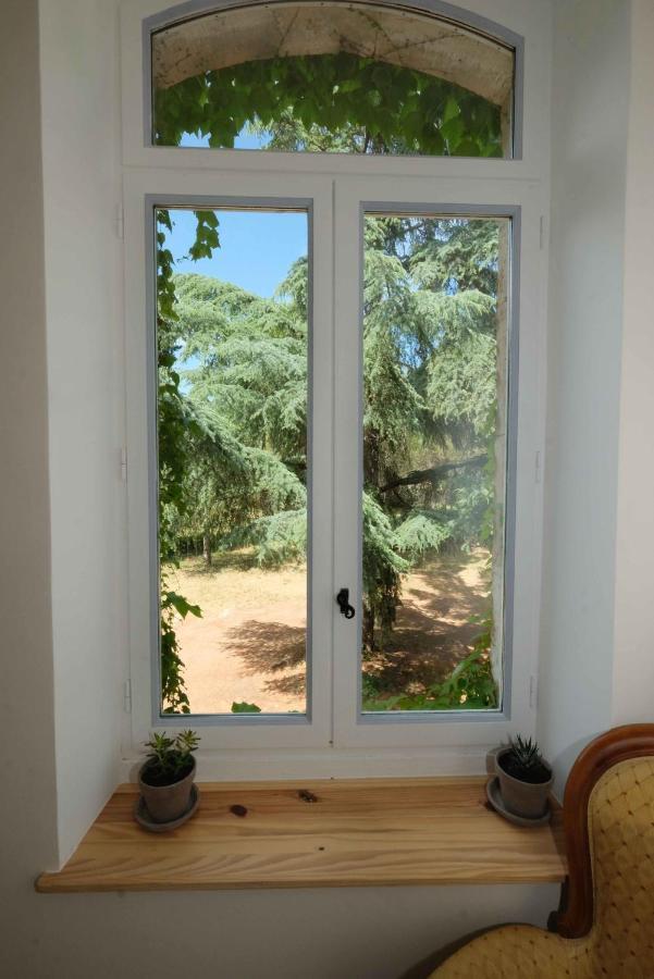 Villa Des Antiquaires Bedarieux Exterior photo